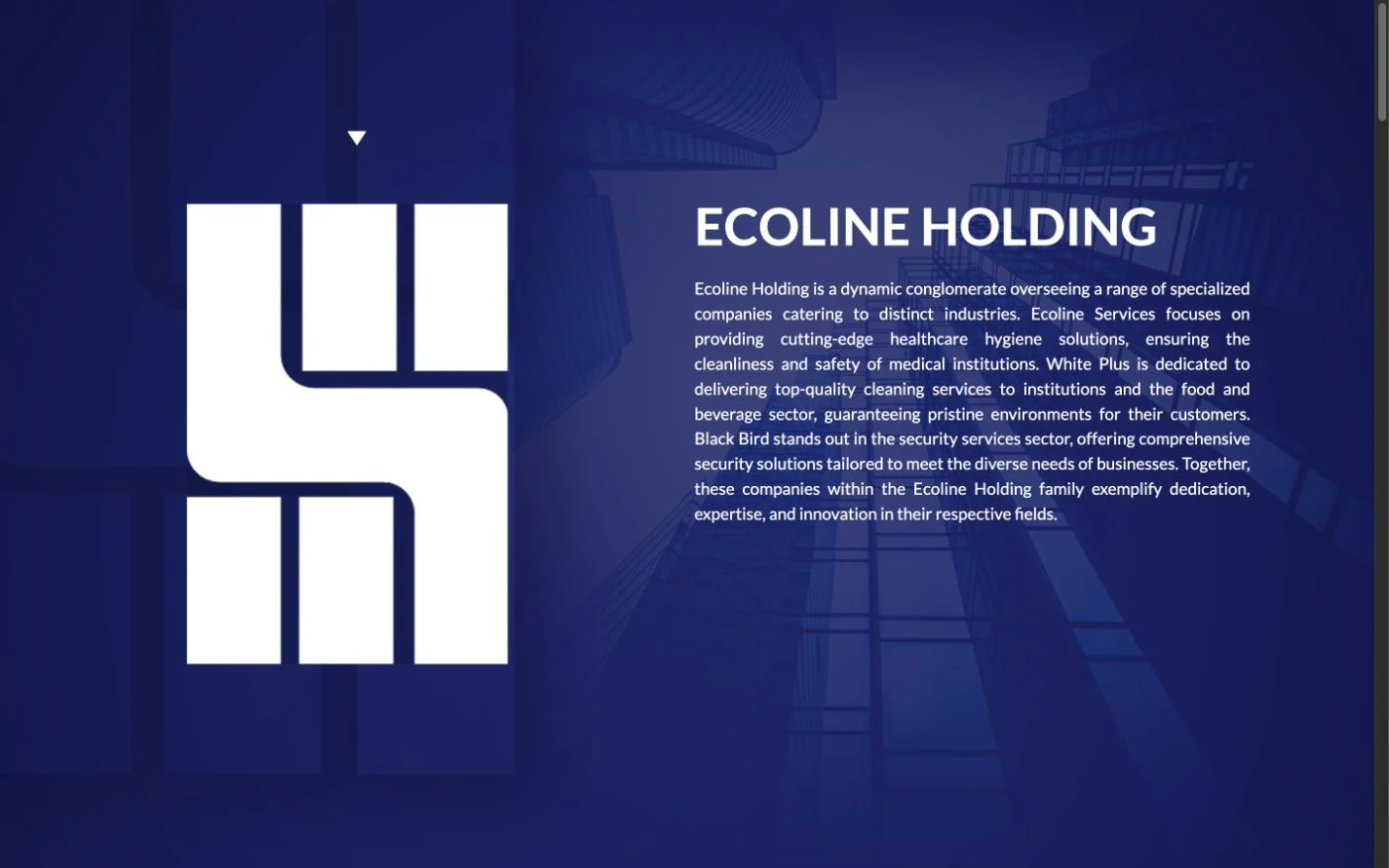 Ecoline Holding website with its group identity and company introduction.